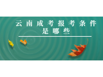 云南成考報(bào)考條件